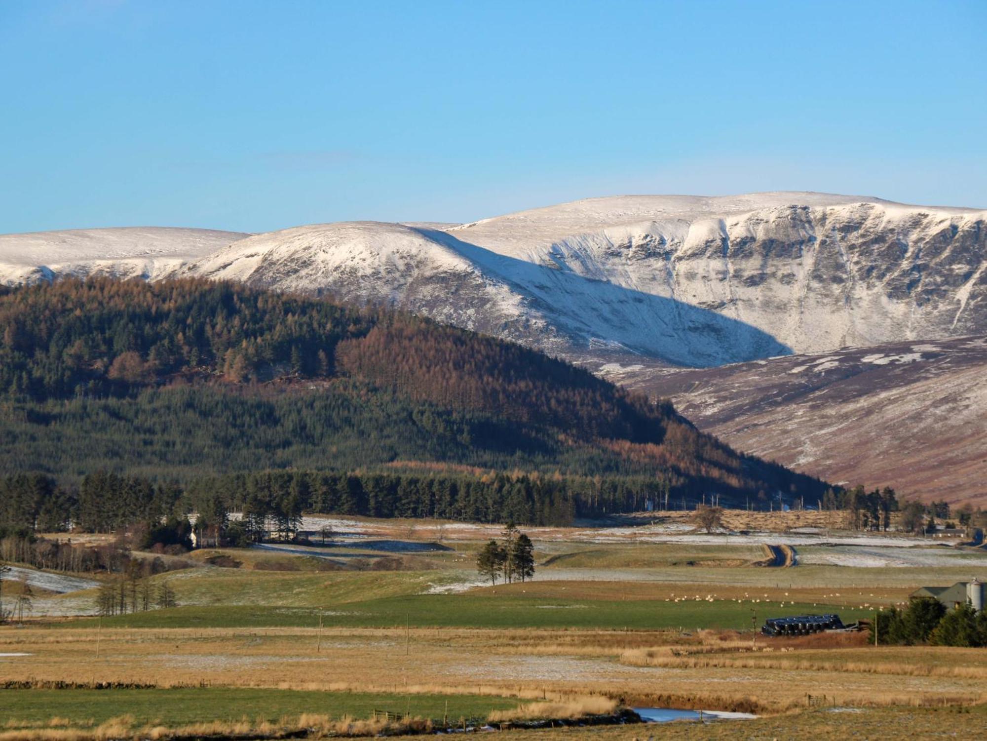 The Bothy Βίλα Kirriemuir Εξωτερικό φωτογραφία
